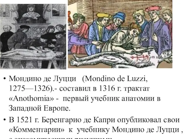 Мондино де Луцци (Mondino de Luzzi, 1275—1326).- составил в 1316 г.