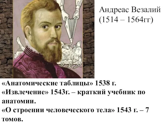Андреас Везалий (1514 – 1564гг) «Анатомические таблицы» 1538 г. «Извлечение» 1543г.