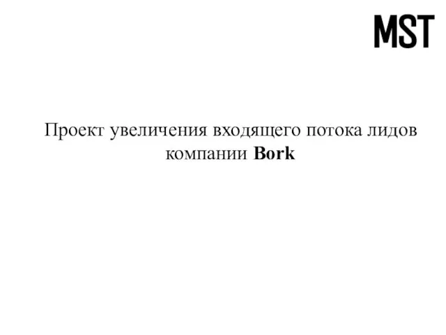 Проект увеличения входящего потока лидов компании Bork