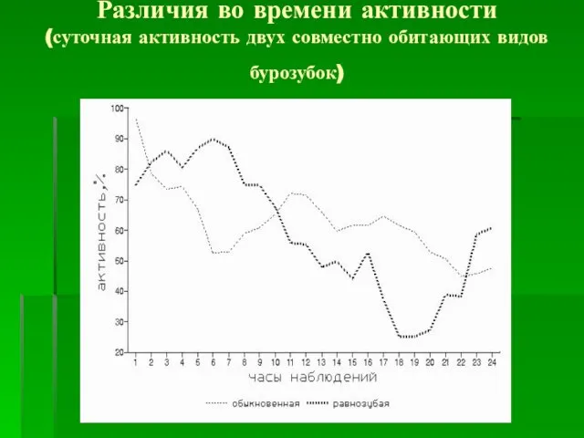 Различия во времени активности (суточная активность двух совместно обитающих видов бурозубок)