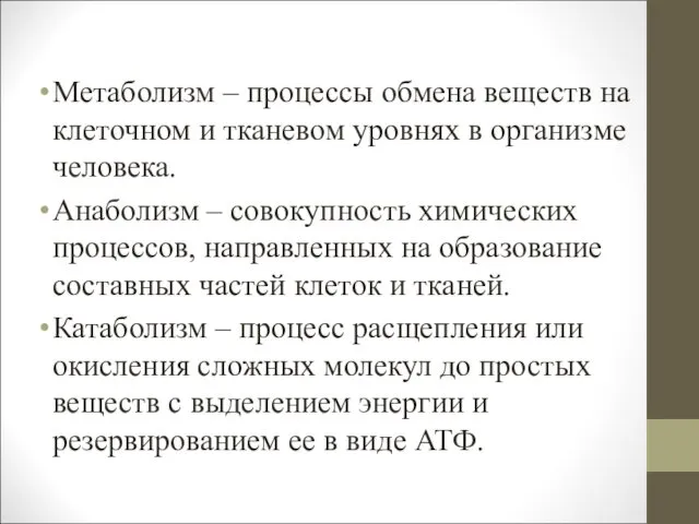 Метаболизм – процессы обмена веществ на клеточном и тканевом уровнях в