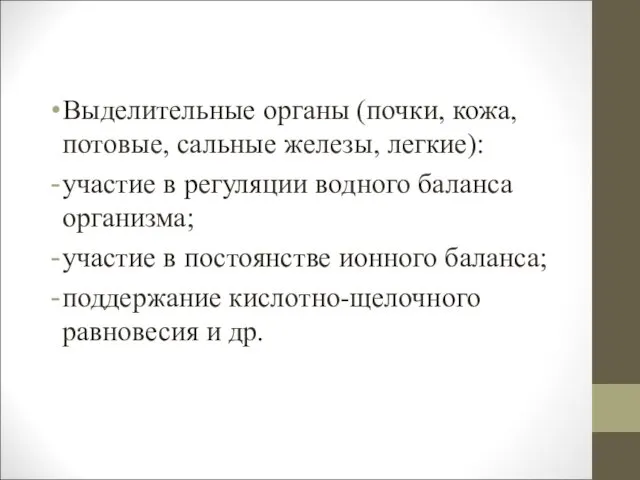 Выделительные органы (почки, кожа, потовые, сальные железы, легкие): участие в регуляции