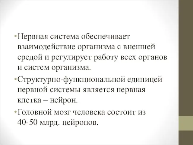 Нервная система обеспечивает взаимодействие организма с внешней средой и регулирует работу