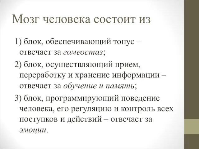 Мозг человека состоит из 1) блок, обеспечивающий тонус – отвечает за