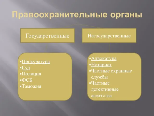 Правоохранительные органы Государственные Негосударственные Прокуратура Суд Полиция ФСБ Таможня Адвокатура Нотариат