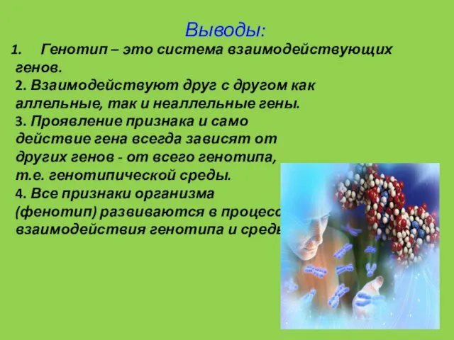 Выводы: Генотип – это система взаимодействующих генов. 3. Проявление признака и