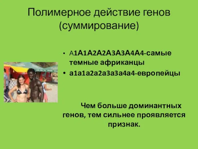 Полимерное действие генов (суммирование) А1А1А2А2А3А3А4А4-самые темные африканцы а1а1а2а2а3а3а4а4-европейцы Чем больше доминантных генов, тем сильнее проявляется признак.