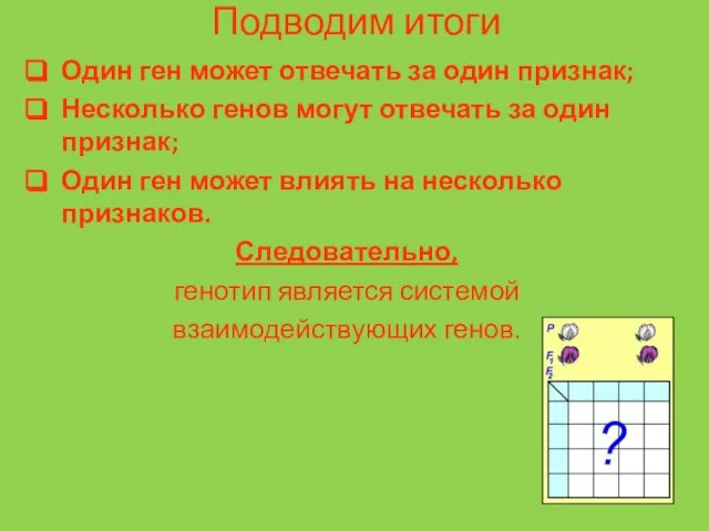 Подводим итоги Один ген может отвечать за один признак; Несколько генов