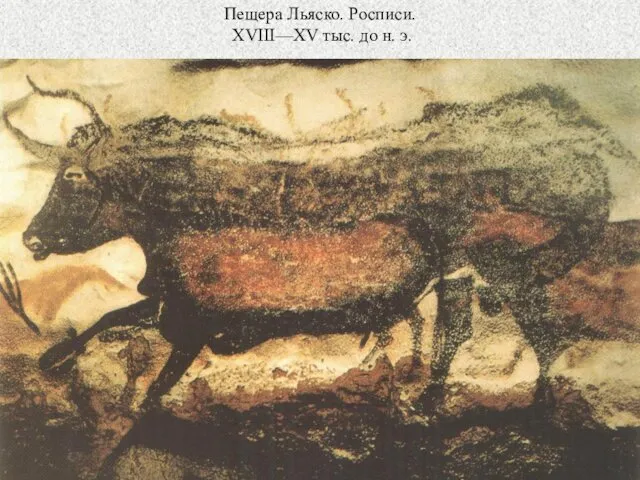 Пещера Льяско. Росписи. XVIII—XV тыс. до н. э.