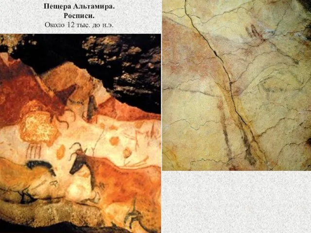 Пещера Альтамира. Росписи. Около 12 тыс. до н.э.