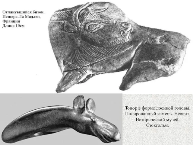 Топор в форме лосиной головы. Полированный камень. Неолит. Исторический музей. Стокгольм.