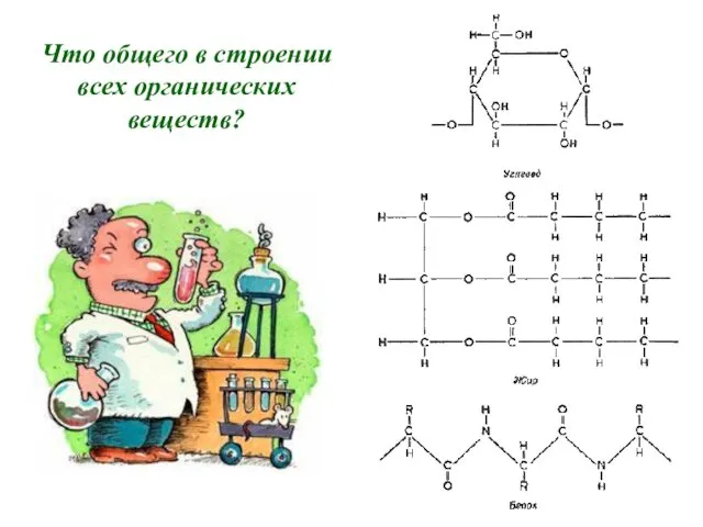 Что общего в строении всех органических веществ?