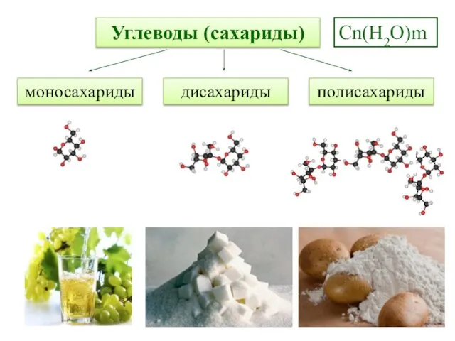 Углеводы (сахариды) Cn(Н2O)m моносахариды дисахариды полисахариды