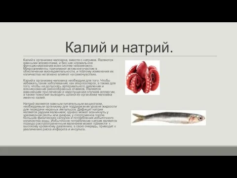 Калий и натрий. Калий в организме человека, вместе с натрием. Являются