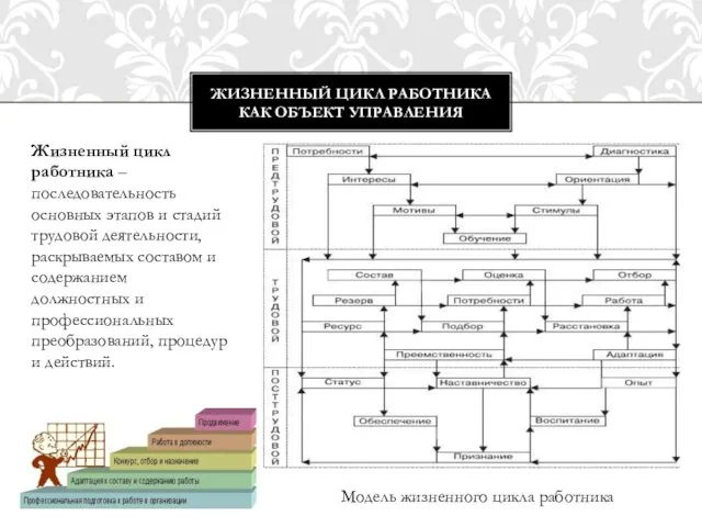 ЖИЗНЕННЫЙ ЦИКЛ РАБОТНИКА КАК ОБЪЕКТ УПРАВЛЕНИЯ Модель жизненного цикла работника Жизненный