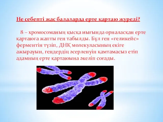 Не себепті жас балаларда ерте қартаю журеді? 8 – хромосоманың қысқа