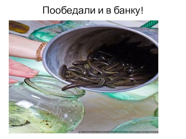 Пообедали и в банку!