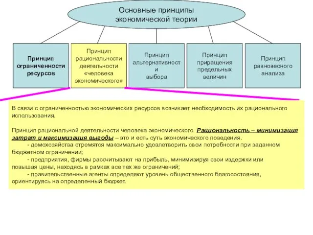 Основные принципы экономической теории Принцип ограниченности ресурсов Принцип рациональности деятельности «человека