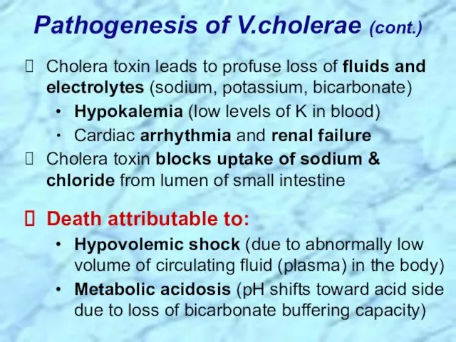 Pathogenesis of V.cholerae (cont.) Cholera toxin leads to profuse loss of