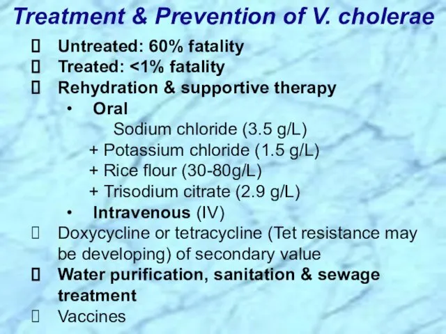 Treatment & Prevention of V. cholerae Untreated: 60% fatality Treated: Rehydration