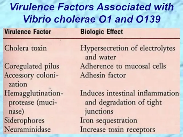 Virulence Factors Associated with Vibrio cholerae O1 and O139