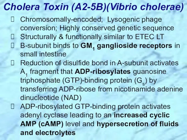 Cholera Toxin (A2-5B)(Vibrio cholerae) Chromosomally-encoded; Lysogenic phage conversion; Highly conserved genetic