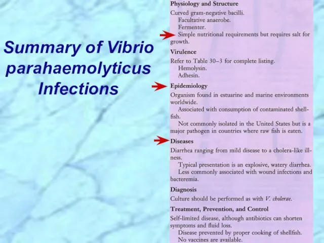 Summary of Vibrio parahaemolyticus Infections