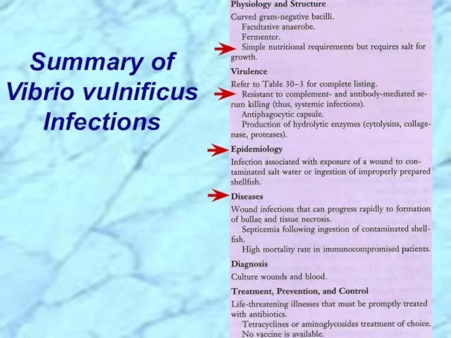 Summary of Vibrio vulnificus Infections