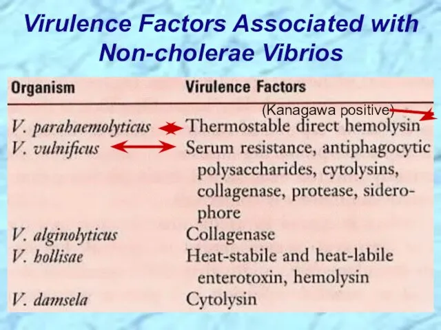 Virulence Factors Associated with Non-cholerae Vibrios (Kanagawa positive)