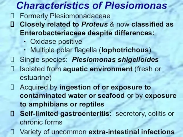 Characteristics of Plesiomonas Formerly Plesiomonadaceae Closely related to Proteus & now