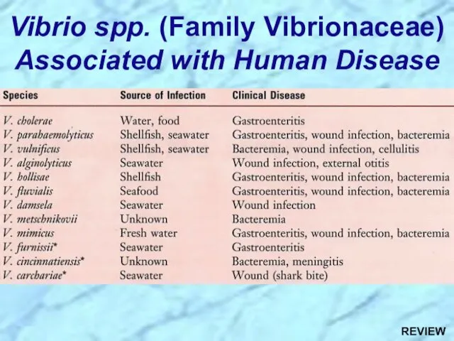 Vibrio spp. (Family Vibrionaceae) Associated with Human Disease REVIEW