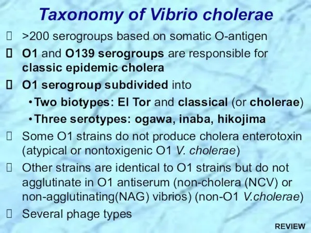 Taxonomy of Vibrio cholerae >200 serogroups based on somatic O-antigen O1