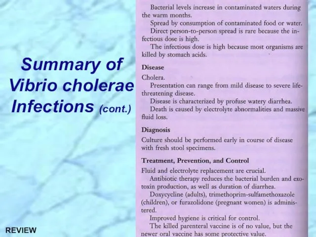 Summary of Vibrio cholerae Infections (cont.) REVIEW