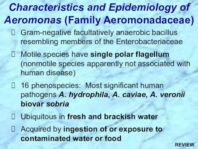 Characteristics and Epidemiology of Aeromonas (Family Aeromonadaceae) Gram-negative facultatively anaerobic bacillus