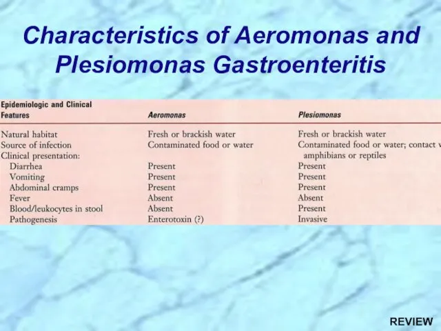 Characteristics of Aeromonas and Plesiomonas Gastroenteritis REVIEW