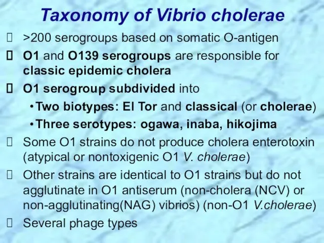 Taxonomy of Vibrio cholerae >200 serogroups based on somatic O-antigen O1