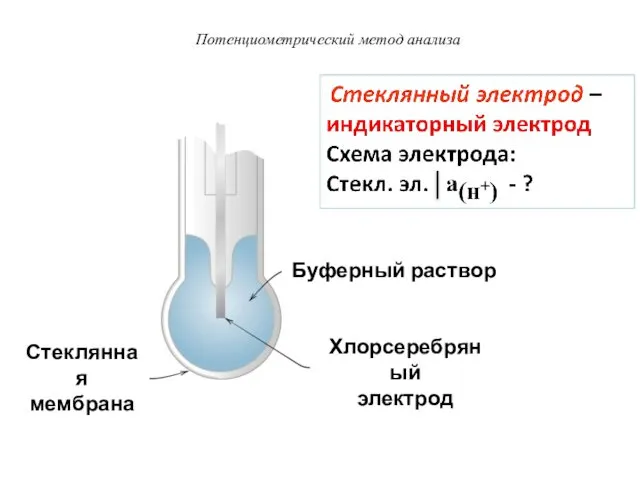 Потенциометрический метод анализа Стеклянная мембрана Хлорсеребряный электрод Буферный раствор