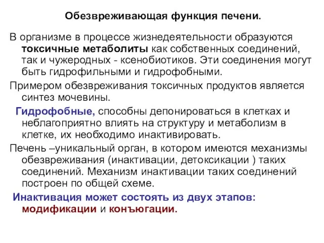 Обезвреживающая функция печени. В организме в процессе жизнедеятельности образуются токсичные метаболиты