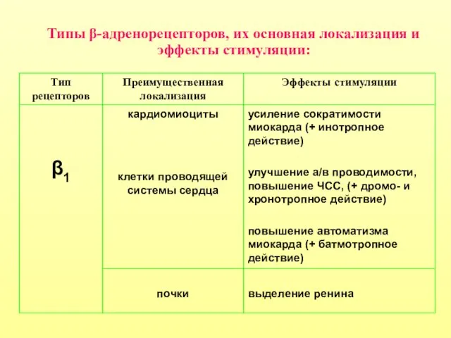 Типы β-адренорецепторов, их основная локализация и эффекты стимуляции: