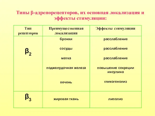 Типы β-адренорецепторов, их основная локализация и эффекты стимуляции: