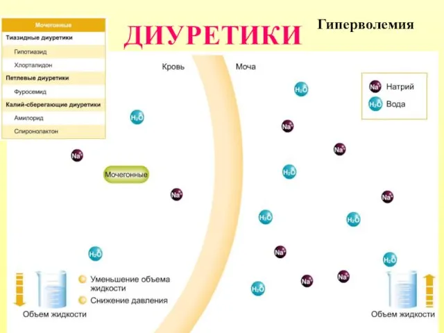 ДИУРЕТИКИ Гиперволемия