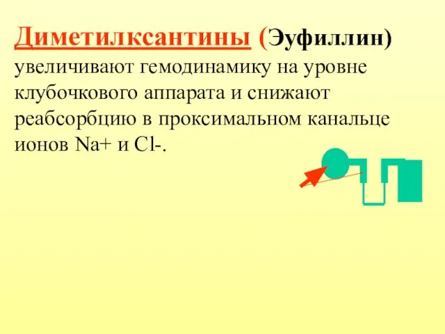 Диметилксантины (Эуфиллин) увеличивают гемодинамику на уровне клубочкового аппарата и снижают реабсорбцию