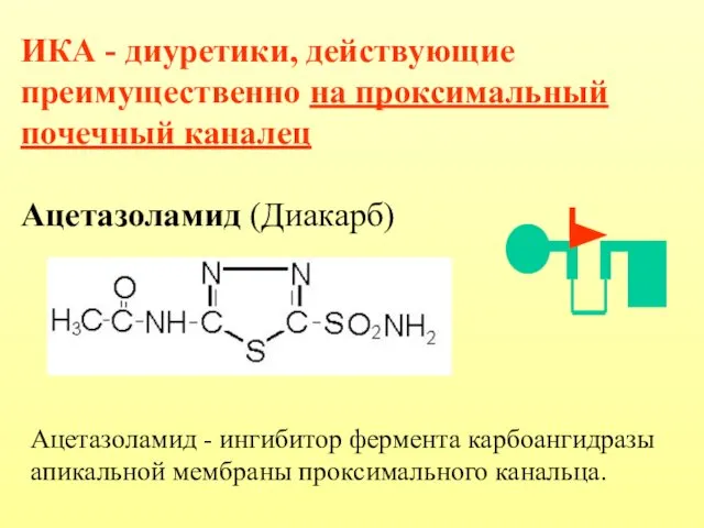 ИКА - диуретики, действующие преимущественно на проксимальный почечный каналец Ацетазоламид (Диакарб)