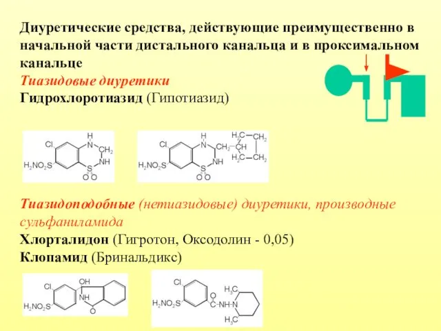 Диуретические средства, действующие преимущественно в начальной части дистального канальца и в