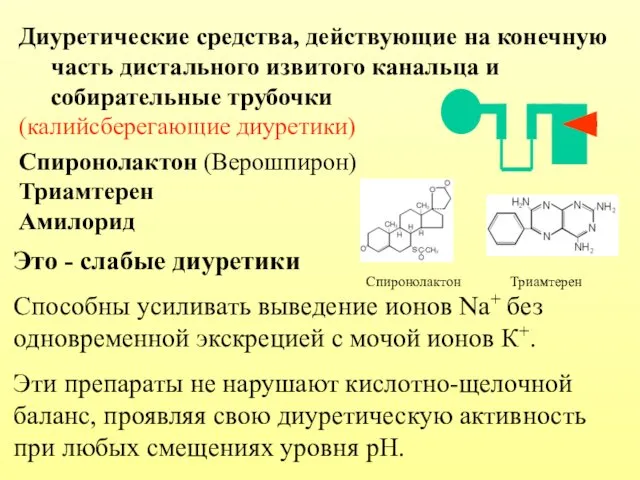 Диуретические средства, действующие на конечную часть дистального извитого канальца и собирательные