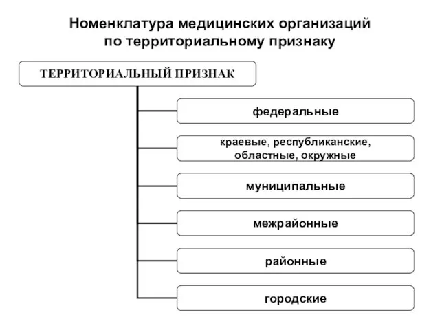 Номенклатура медицинских организаций по территориальному признаку