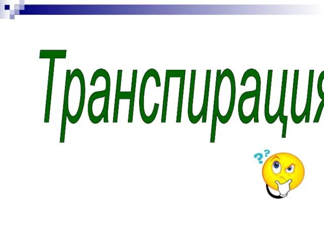 Транспирация