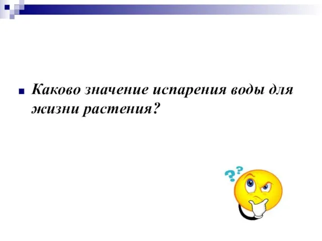 Каково значение испарения воды для жизни растения?