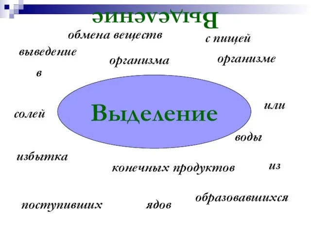 Выделение выведение Выделение с пищей поступивших организме или в образовавшихся ядов