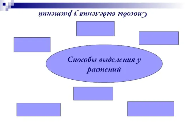 Способы выделения у растений Способы выделения у растений